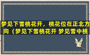 梦见下雪桃花开，桃花位在正北方向（梦见下雪桃花开 梦见雪中桃花盛开）